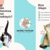 Bilgi Verici Broşür ve İlan Tasarımları | Etkileyici ve İlgi Çekici Tasarımlarla Ürün ve Hizmetlerinizi Gösterin
